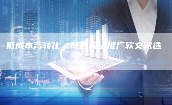 低成本高转化，陕西网络推广软文就选