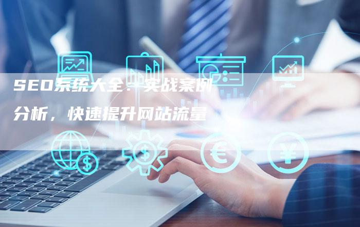 SEO系统大全：实战案例分析，快速提升网站流量