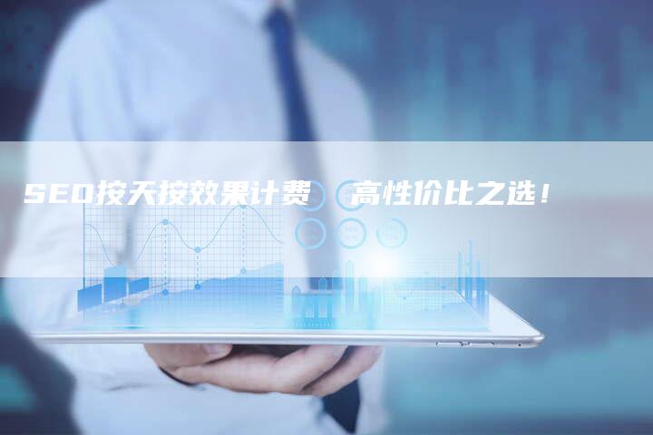 SEO按天按效果计费  高性价比之选！