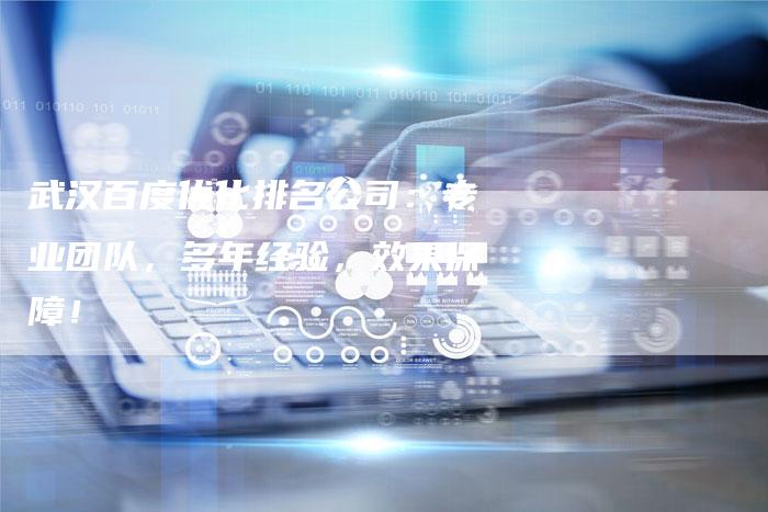 武汉百度优化排名公司：专业团队，多年经验，效果保障！