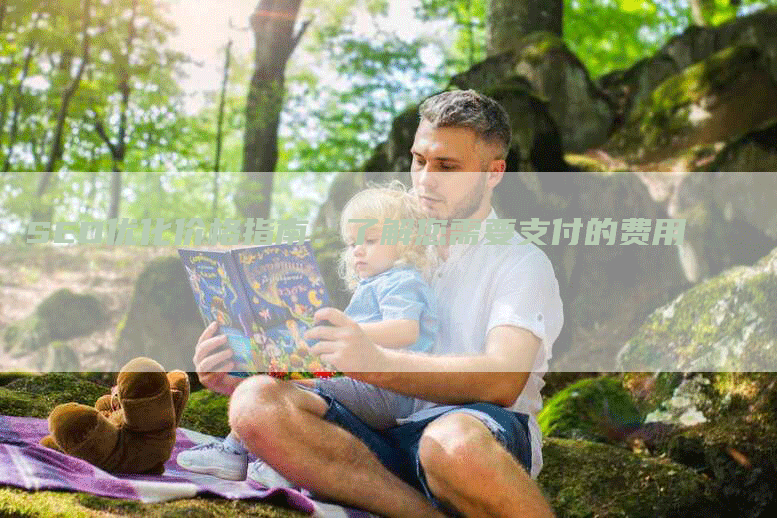 SEO优化价格指南：了解您需要支付的费用